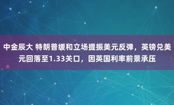 中金辰大 特朗普缓和立场提振美元反弹，英镑兑美元回落至1.33关口，因英国利率前景承压