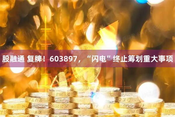 股融通 复牌！603897，“闪电”终止筹划重大事项