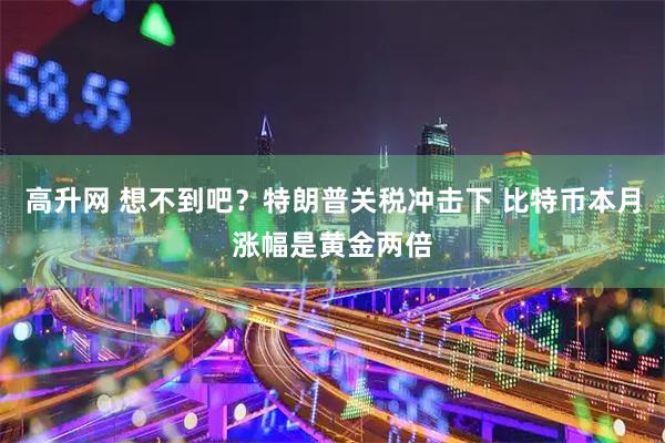 高升网 想不到吧？特朗普关税冲击下 比特币本月涨幅是黄金两倍