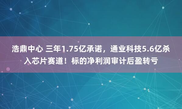 浩鼎中心 三年1.75亿承诺，通业科技5.6亿杀入芯片赛道！标的净利润审计后盈转亏
