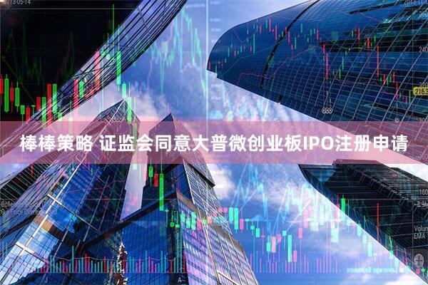 棒棒策略 证监会同意大普微创业板IPO注册申请
