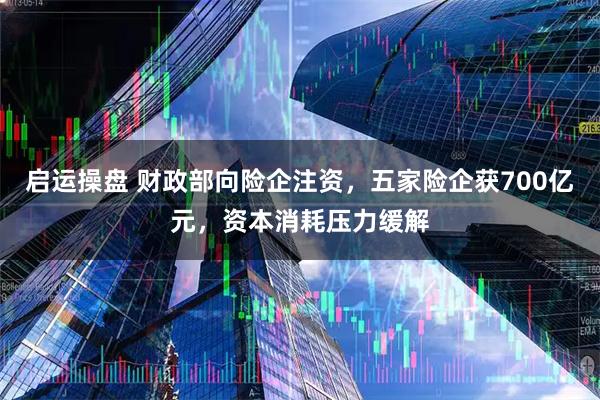 启运操盘 财政部向险企注资，五家险企获700亿元，资本消耗压力缓解
